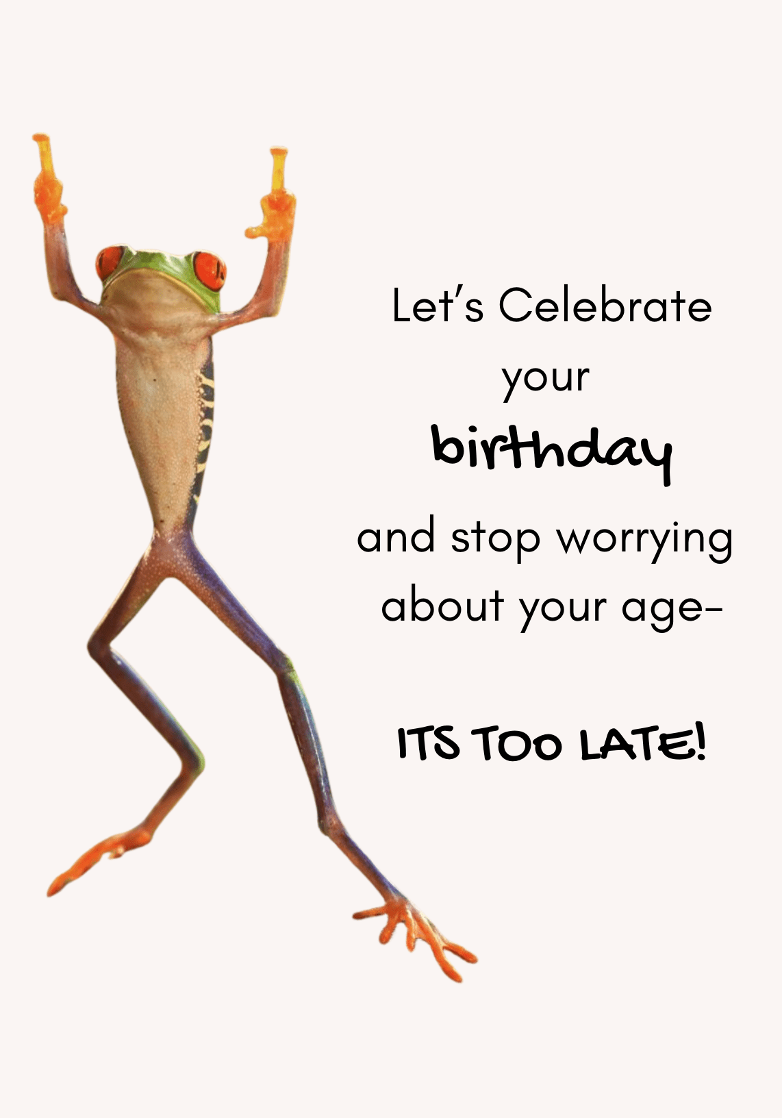 Birthday Frog | Premium Gift Box from The Gifting Suite | Australia