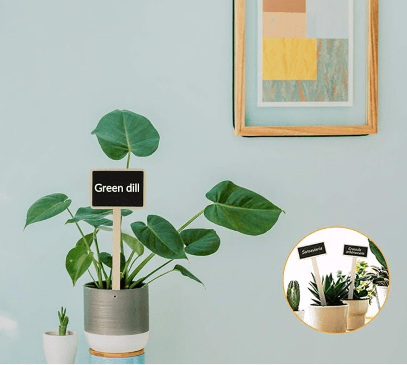 Mini Chalkboard Plant Labels (Set of 4) | Wooden Garden Markers | Premium Gift Box from The Gifting Suite | Australia